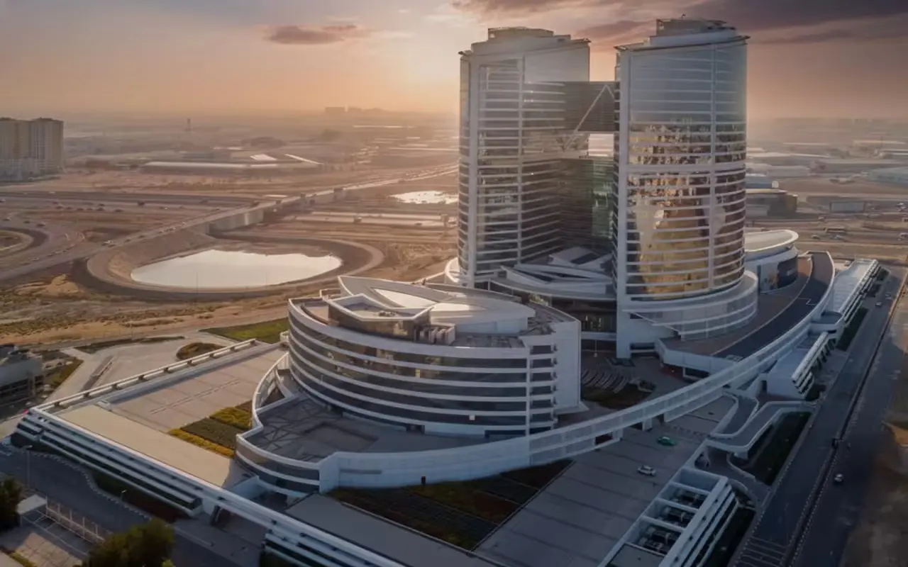 Entrepreneur comparing offshore and free zone company options in UAE