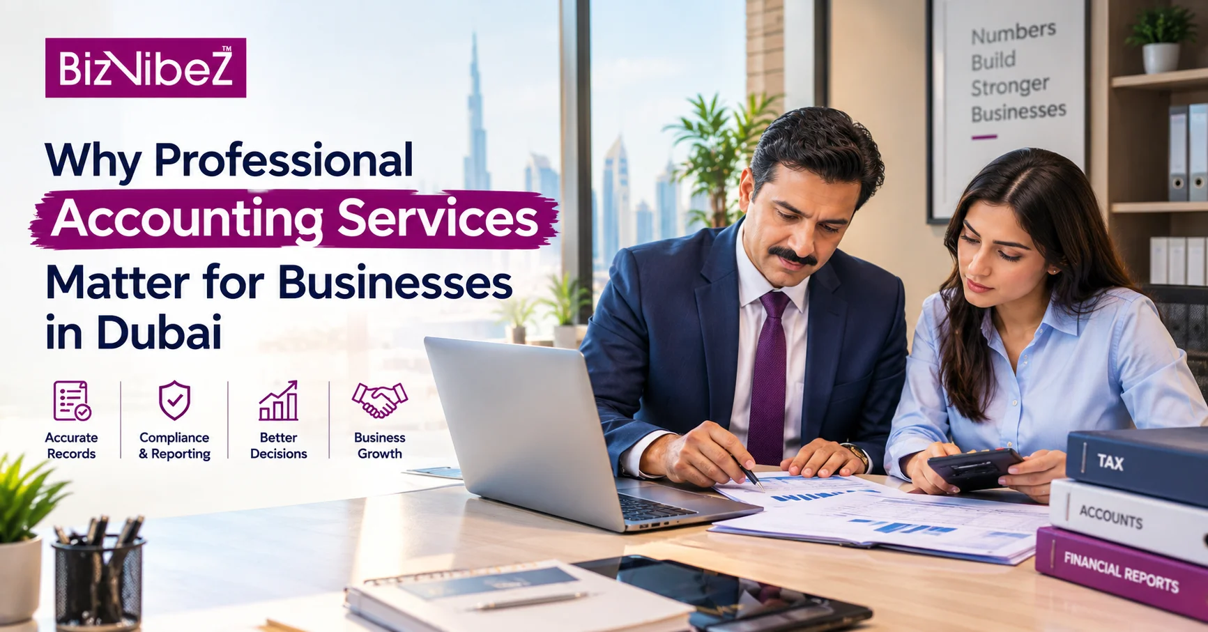 Professional Accounting Services in Dubai