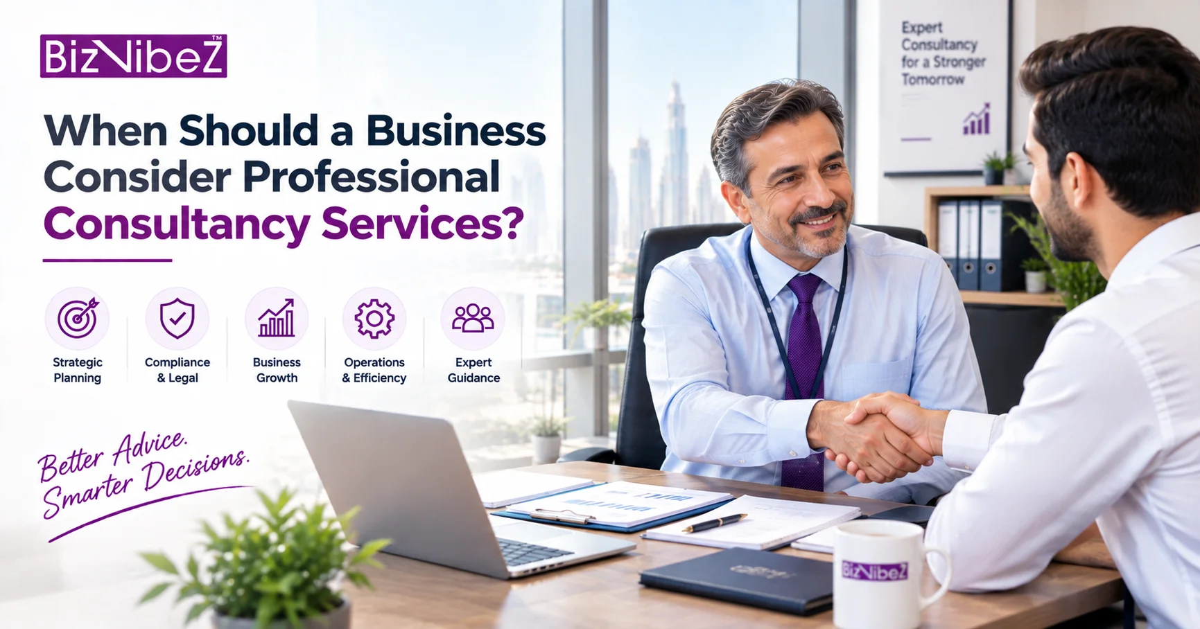 professional consultancy services
