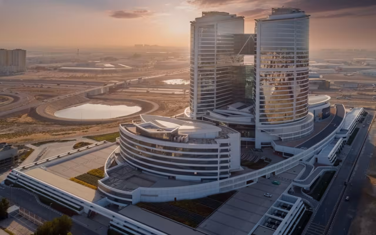 Entrepreneur comparing offshore and free zone company options in UAE