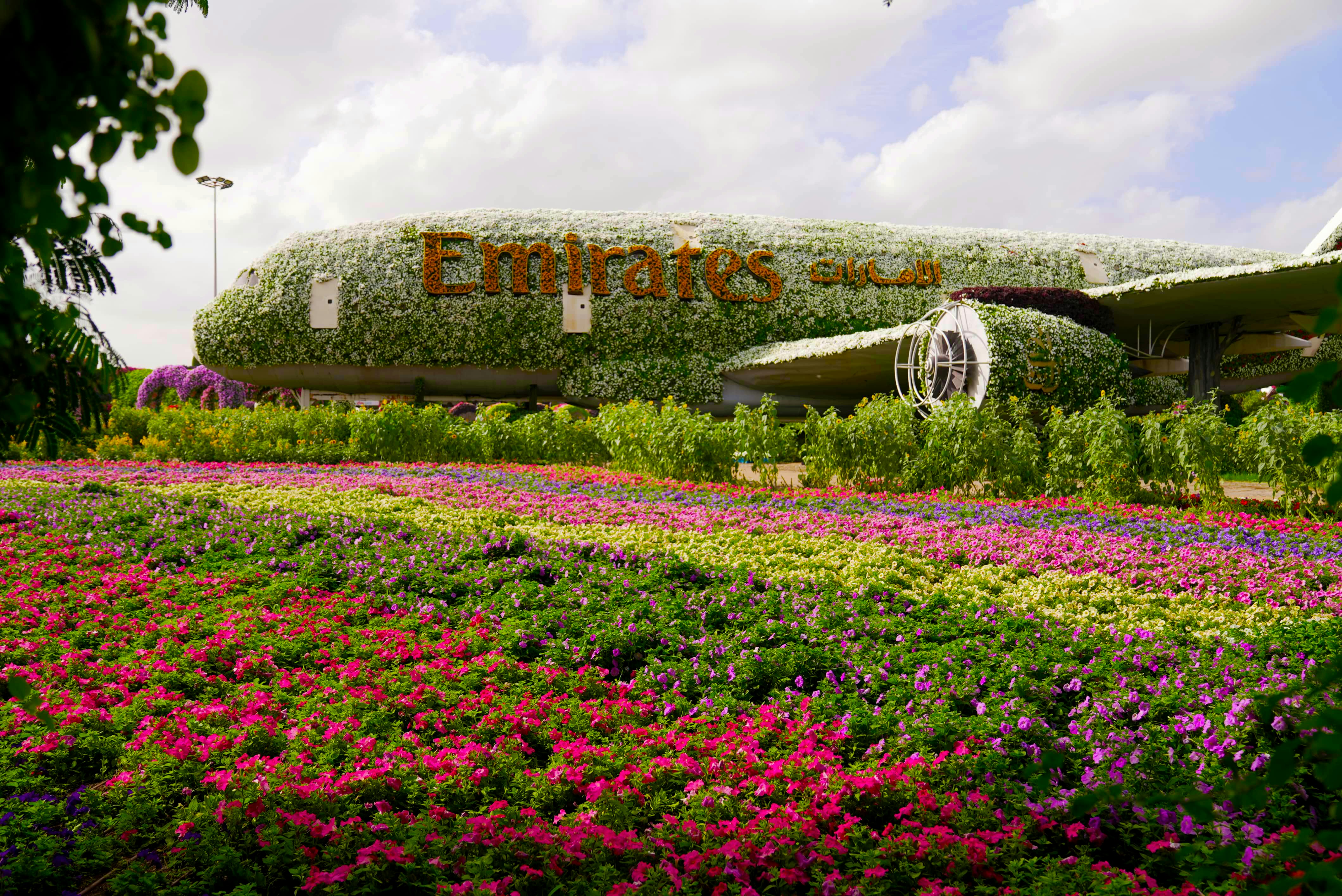 Emirates ID Processing in UAE: Requirements, Steps & Tips