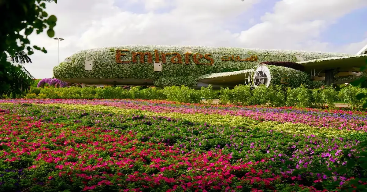 Digital Emirates ID verification and biometric registration process 2026